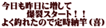 今日も昨日に増して 　　　爆裂スタート！！ よく釣れたので定時納竿（喜）