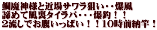 鯛魔神様と近場サワラ狙い・・爆風 諦めて風裏タイラバ・・・爆釣！！ ２流しでお腹いっぱい！！１０時前納竿！
