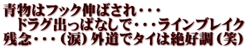 青物はフック伸ばされ・・・ 　ドラグ出っぱなしで・・・ラインブレイク 残念・・・（涙）外道でタイは絶好調（笑）