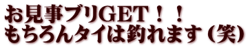 お見事ブリGET！！ もちろんタイは釣れます（笑）