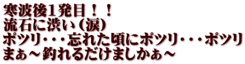 寒波後1発目！！ 流石に渋い（涙） ポツリ・・・忘れた頃にポツリ・・・ポツリ まぁ～釣れるだけましかぁ～