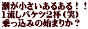 潮が小さいあるある！！ 1流しバケツ2杯（笑） 乗っ込みの始まりか？