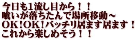 今日も1流し目から！！ 喰いが落ちたんで場所移動～ OK!OK!バッチリ居ます居ます！ これから楽しめそう！！