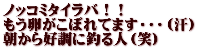 ノッコミタイラバ！！ もう卵がこぼれてます・・・（汗） 朝から好調に釣る人（笑）