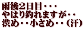 雨後2日目・・・ やはり釣れますが・・ 渋め・・小さめ・・（汗）
