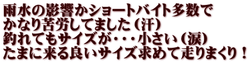 雨水の影響かショートバイト多数で かなり苦労してました（汗） 釣れてもサイズが・・・小さい（涙） たまに来る良いサイズ求めて走りまくり！