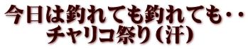 今日は釣れても釣れても・・ 　　チャリコ祭り（汗）