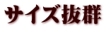 サイズ抜群