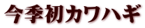 今季初カワハギ