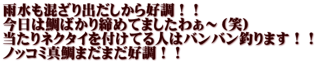 雨水も混ざり出だしから好調！！ 今日は鯛ばかり締めてましたわぁ～（笑） 当たりネクタイを付けてる人はバンバン釣ります！！ ノッコミ真鯛まだまだ好調！！