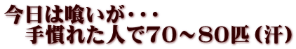 今日は喰いが・・・ 　手慣れた人で70～８０匹（汗）