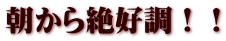 朝から絶好調！！