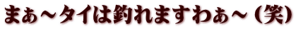 まぁ～タイは釣れますわぁ～（笑）