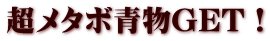 超メタボ青物GET！